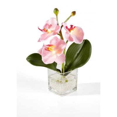 Orchidea led (1 szt.) bonprix jasnoróżowy