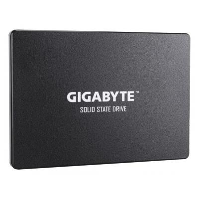 GIGABYTE GIGABYTE 256GB 2,5'' GP-GSTFS31256GTND