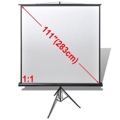 Emaga ekran projekcyjny, na stojaku z regulowaną wysokością 200 x 200 cm 1:1
