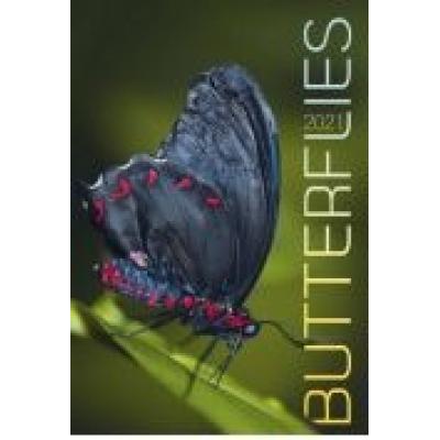 Kalendarz 2021 ścienny butterflies crux