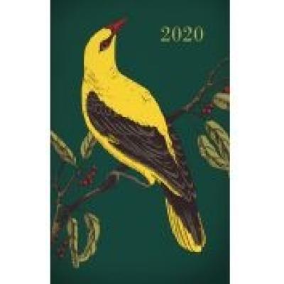 Kalendarz 2020. ptaki