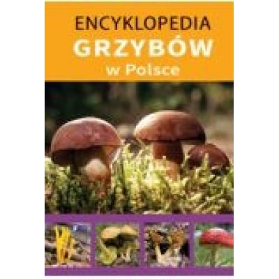 Encyklopedia grzybów w polsce 2015