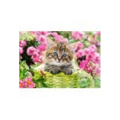 Puzzle 500 kitten in flower garden