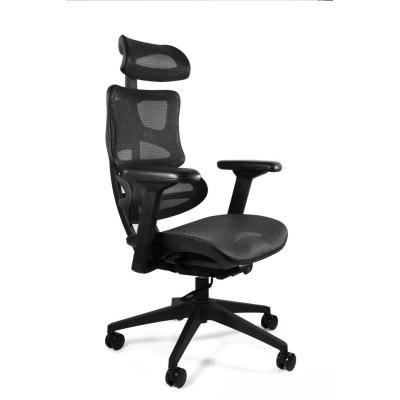 Fotel biurowy, ergonomiczny, Ergotech, czarny