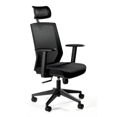 Fotel biurowy, ergonomiczny, Esta, czarny