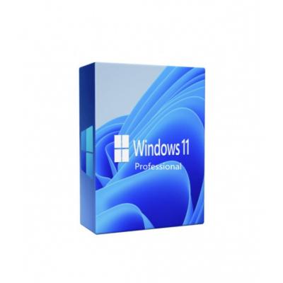 Microsoft Windows 11 Pro DVD OEM 64-bit PL