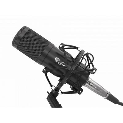 Mikrofon studyjny Genesis Radium 300 XLR Ramię, Popfiltr
