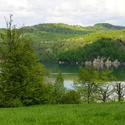 Działka / działki Olchowiec nad Jeziorem Solińskim 254.258