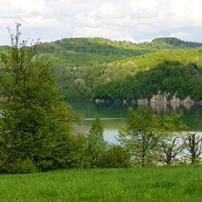 Działka / działki Olchowiec nad Jeziorem Solińskim 254.258