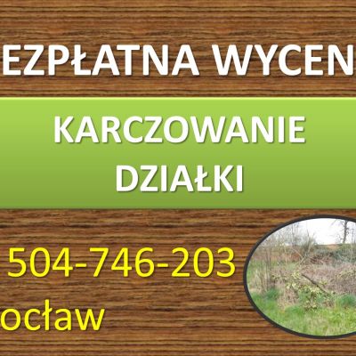 Karczowanie działki, cena, tel. 504-746-203, Wrocław. Koszenie zarośli, wysokiej trawy