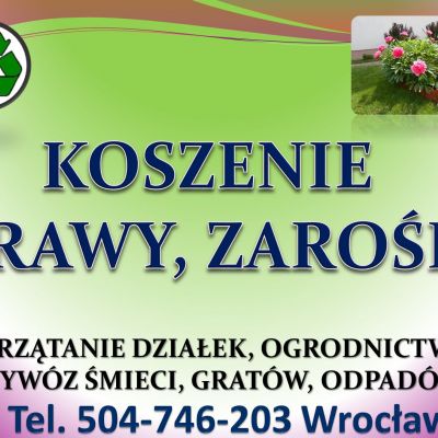 Karczowanie działki, cena, tel. 504-746-203, Wrocław. Koszenie zarośli, wysokiej trawy