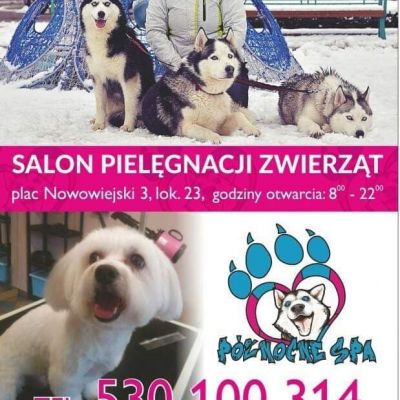 Północne Spa - Salon Pielęgnacji Zwierząt - Psi i koci fryzjer Kraków wolne terminy na grudzień