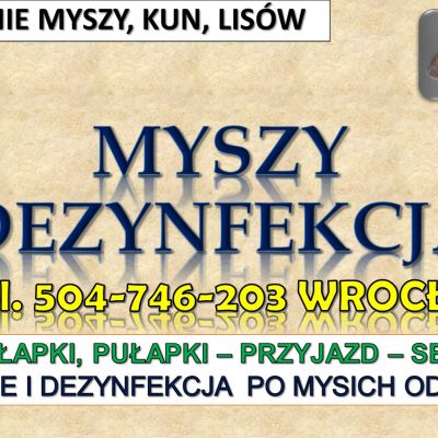 Zwalczanie myszy, Wrocław. tel. 504-746-203 Likwidacja szkodników w domu