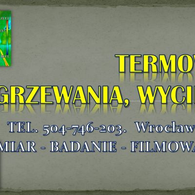 Inspekcja kamerą termowizyjną, Wrocław, tel. 504-746-203