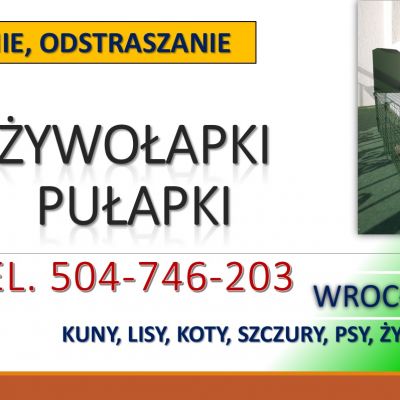 Pułapka na kuny, lisy, odbiór, Wrocław, tel. 504-746-203. Łowienie, żywołapka, cena. Odławianie kuny, skuteczny sposób.