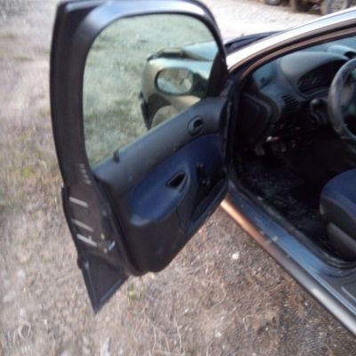 Drzwi Peugeot 206 kod lakieru EZW