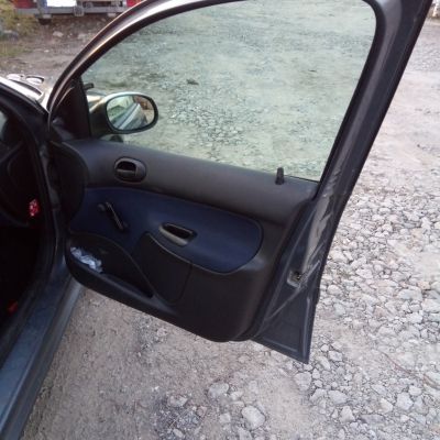 Drzwi Peugeot 206 kod lakieru EZW