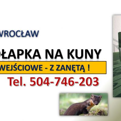 Żywołapka na kuny, cena, tel. 504-746-203, Odbiór Wrocław. Pułapki na kuny. Odławianie, złapanie.