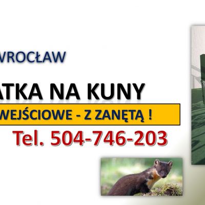 Żywołapka na kuny, cena, tel. 504-746-203, Odbiór Wrocław. Pułapki na kuny. Odławianie, złapanie.