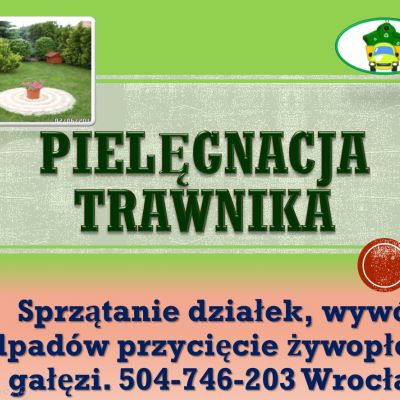 Usługi ogrodnika, Wrocław, tel. 504-746-203. Pielęgnacja zieleni, cena