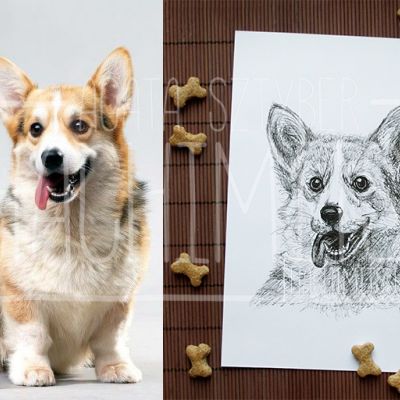 Portret na zamówienie, rysunek psa, kota, konia, zwierząt