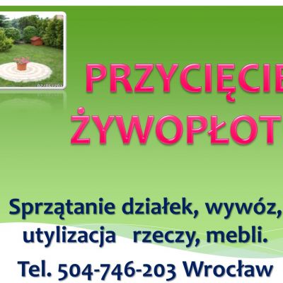 .Sprzątanie ogrodu, ogrodnik Wrocław, cena tel 504-746-203, usługi ogrodnicze.