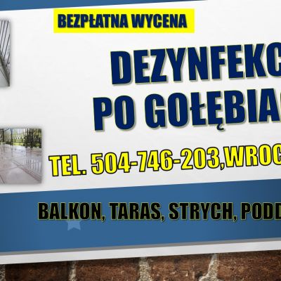 Dezynfekcja po gołębiach, tel. 504-746-203, Wrocław. Sprzątanie balkonu, strychu