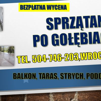 Dezynfekcja po gołębiach, tel. 504-746-203, Wrocław. Sprzątanie balkonu, strychu