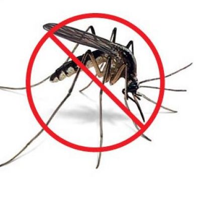 Odkomarzanie zwalczanie kleszczy komarów much meszek