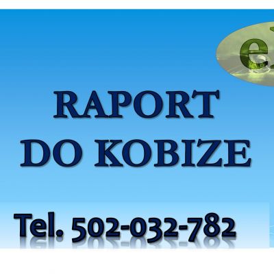 Raport do Kobize, cena, tel, 502-032-782. Odzyskanie hasła i dostępu.