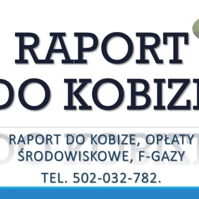 Raportowanie do Kobize, cena tel, 502-032-782, wykonanie zgłoszenia,   Złożenie raportu.