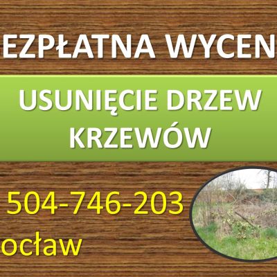 Czyszczenie działek, cennik tel. 504-746-203, karczowanie terenu, Wrocław. Czyszczenie działki z wysokiej trawy