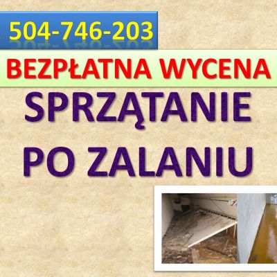 Dezynfekcja pomieszczeń, cennik tel. 504-746-203. usługi, Wrocław  Czyszczenia i dezynfekcji mieszkania po zalaniu wodą i fekaliami.