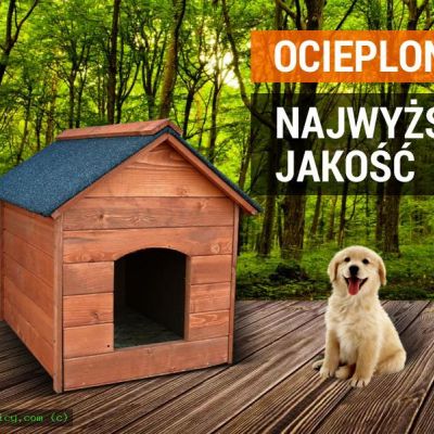 Kojec dla psa - wycena cała Polska schroniska prywatnie