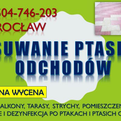 Ptasie odchody sprzątanie, Wrocław, tel. 504-746-203. Czyszczenie balkonu, dezynfekcja