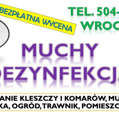 Likwidacja much dezynfekcja, tel. 504-746-203, Wrocław. Zwalczanie insektów, cennik