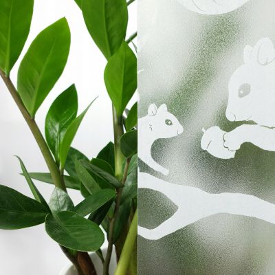 Folia statyczna okienna bezklejowa wiewiórki na gałęziach