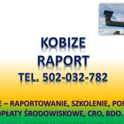 Raportowanie do Kobize cena. tel. 502-032-782. Zgłoszenie do Kobize, obsługa firm
