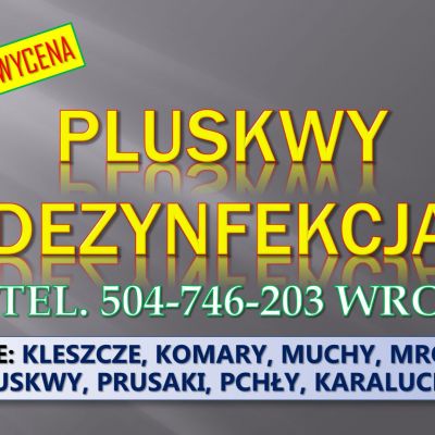Dezynfekcja na pluskwy, cennik, tel. 504-746-203, Wrocław. Zwalczanie owadów, usługi dezynfekcji w mieszkaniu