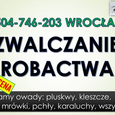 Zwalczanie robactwa cena, tel. 504-746-203, Wrocław. Likwidacja insektów i usuwanie szkodników