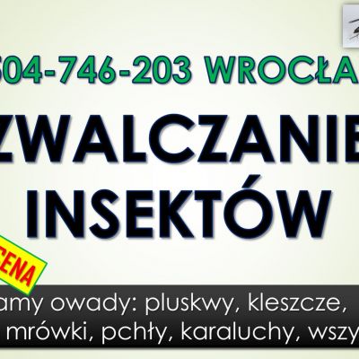 Zwalczanie robactwa cena, tel. 504-746-203, Wrocław. Likwidacja insektów i usuwanie szkodników