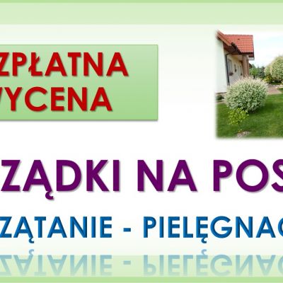 Porządkowanie działek, Wrocław. Tel. 504-746-203, sprzątanie ogródka działkowego, cennik
