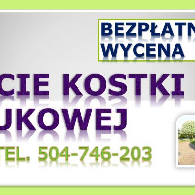 Usuwanie mchu z kostki, Wrocław, tel. 504-746-203. Czyszczenie kostki brukowej, cena