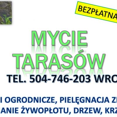 Usuwanie mchu z kostki, Wrocław, tel. 504-746-203. Czyszczenie kostki brukowej, cena