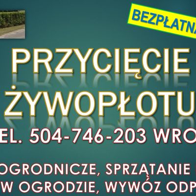 Obcięcie żywopłotu, tel. 504-746-203, Wrocław, cena.  Skrócenie i przycinanie gałęzi