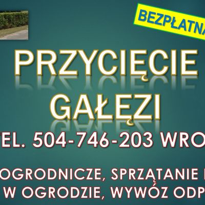 Obcięcie żywopłotu, tel. 504-746-203, Wrocław, cena.  Skrócenie i przycinanie gałęzi