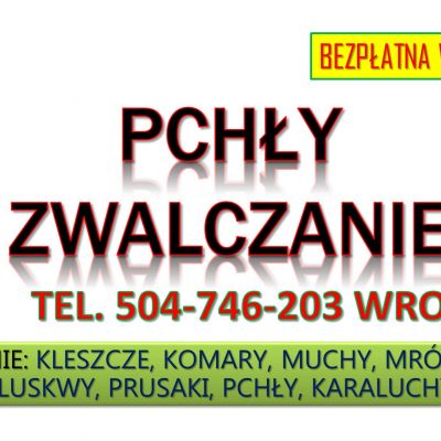Zwalczanie pcheł, cennik tel. 504-746-203, Wrocław. Pchły likwidacja, pozbycie się pcheł