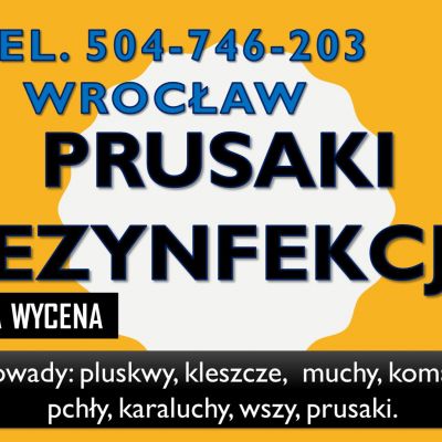 Dezynfekcja na prusaki tel. 504-746-203, we Wrocławiu, pluskwy i inne robaki.
