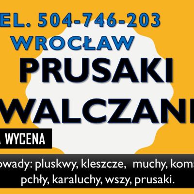 Dezynfekcja na prusaki tel. 504-746-203, we Wrocławiu, pluskwy i inne robaki.