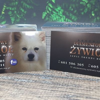 Studio Reklamy Nowy Sącz